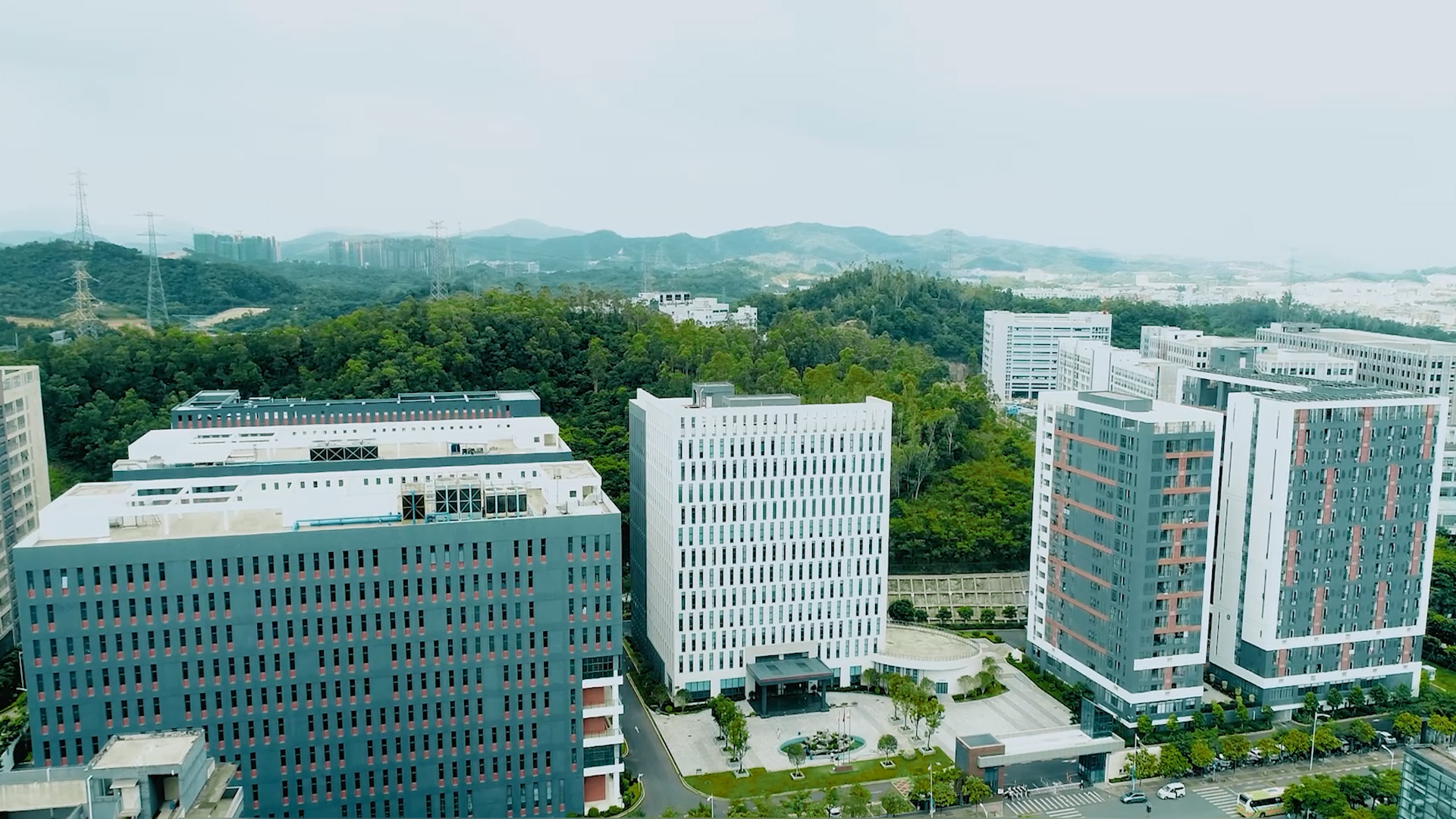 ��ɫ�ɾ͵���¯���ŵ�88�ɹ�����2025����������ɫ����